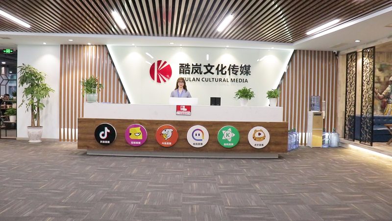 产品宣传片报价方案：揭秘制作流程与预算规划
