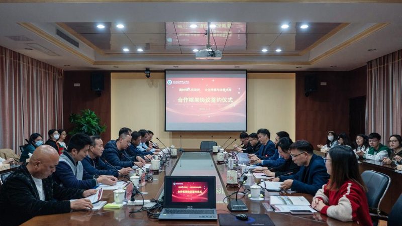 短视频代运营与自运营：团队配置差异解析