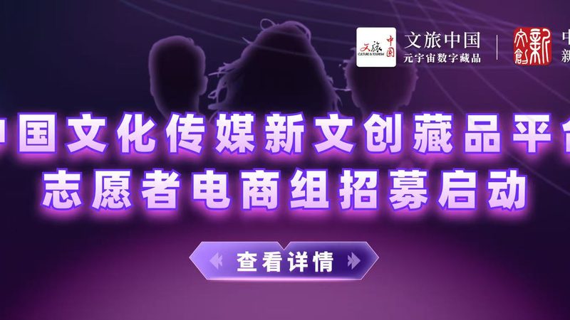 食品饮料TVC广告脚本：揭秘创意与传播之道