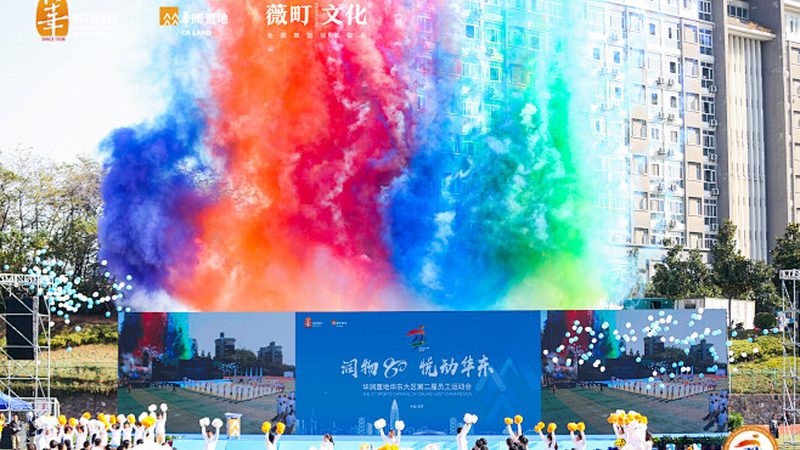 VI设计基础部分费用构成解析